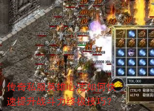 ����˽��Ӣ���ķ���ο�������ս�����ռ����ɣ�