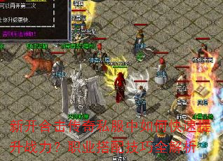 �¿��ϻ�����˽������ο�������ս����ְҵ���似��ȫ����