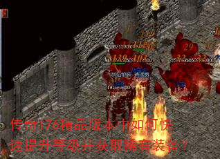 ����176��Ʒ�汾����ο��������ȼ�����ȡϡ��װ����