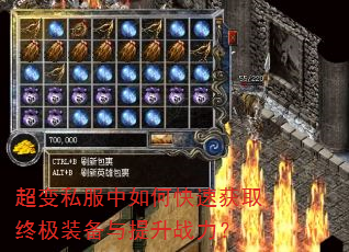 ����˽������ο��ٻ�ȡ�ռ�װ��������ս����