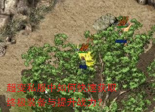 ����˽������ο��ٻ�ȡ�ռ�װ��������ս����