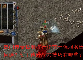 ���Ŵ���˽�����а�ǰʮǿ���������ѡ����������ս����������Щ��