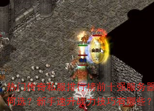 ���Ŵ���˽�����а�ǰʮǿ���������ѡ����������ս����������Щ��