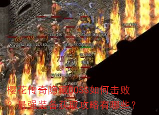 ӣ����������BOSS��λ��ܣ���ǿװ����ȡ��������Щ��