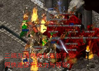 ���˻�ͨ����˽��������ο�������ս����ȼ���