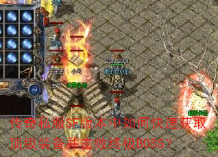 ����˽��SF�汾����ο��ٻ�ȡ����װ���������ռ�BOSS��