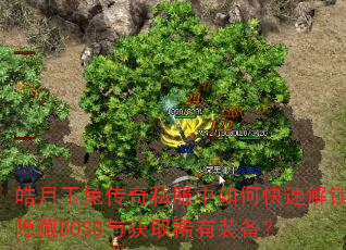 ������ô���˽������ο��ٽ�������BOSS���ȡϡ��װ����