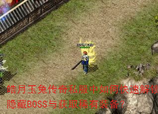 ������ô���˽������ο��ٽ�������BOSS���ȡϡ��װ����