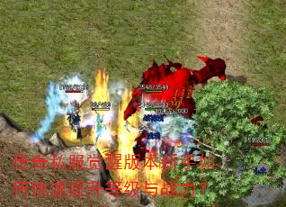 ����˽�����Ѱ汾������ο��������ȼ���ս����