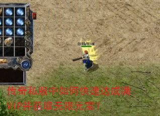 ����˽������ο��ٴ����VIP����ȡ����Ԫ����