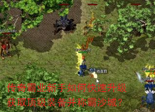 �����ҵ������ο���������ȡ����װ�����ư�ɳ�ǣ�