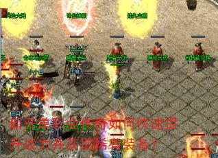 �¿���ְҵ������ο�������ս������ȡϡ��װ����