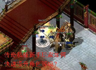 传奇私服新手玩家如何快速提升角色等级? 传奇私服新手玩家如何快速提升角色等级?