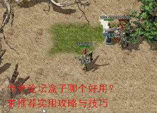 ������̳�����ĸ����ã����Ƽ�ʵ�ù����뼼��