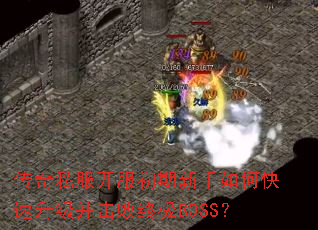 ����˽����������������ο��������������ռ�BOSS��