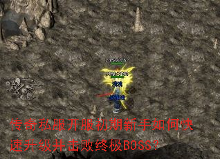 ����˽����������������ο��������������ռ�BOSS��