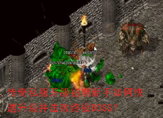 ����˽����������������ο��������������ռ�BOSS��