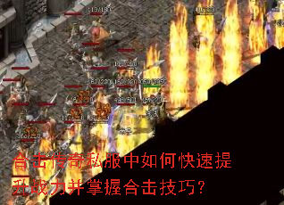 �ϻ�����˽������ο�������ս�������պϻ����ɣ�