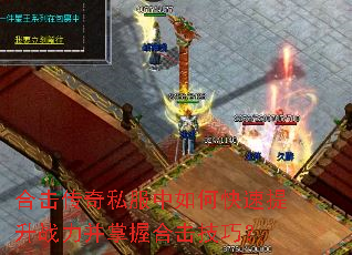 �ϻ�����˽������ο�������ս�������պϻ����ɣ�