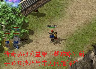 传奇私服公益服下载攻略?新手必知技巧与常见问题解答 传奇私服公益服下载攻略?新手必知技巧与常见问题解答