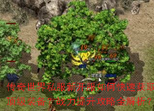 ��������˽���¿�����ο��ٻ�ȡ����װ����ս����������ȫ������