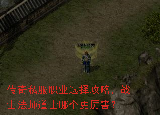 ����˽��ְҵѡ���ԣ�սʿ��ʦ��ʿ�ĸ���������