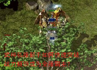 ����˽��������ο���ͻ��ս��ƿ����Ϊȫ��������