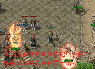 �ɼ����ϴ�����ο���ˢ���飿����BOSS����������ʲô��