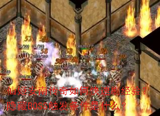 �ɼ����ϴ�����ο���ˢ���飿����BOSS����������ʲô��