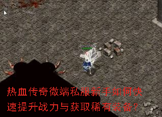 ��Ѫ����΢��˽��������ο�������ս�����ȡϡ��װ����