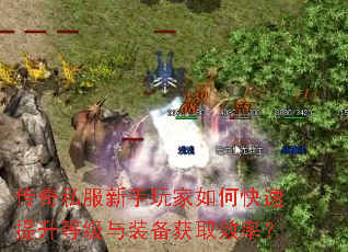 ����˽�����������ο��������ȼ���װ����ȡЧ�ʣ�