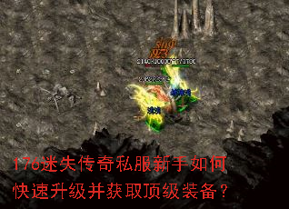 176��ʧ����˽��������ο�����������ȡ����װ����