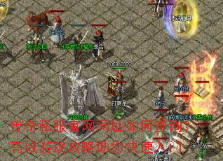 ����˽��������ַ��β�ѯ����Ч��Ϸ���������������