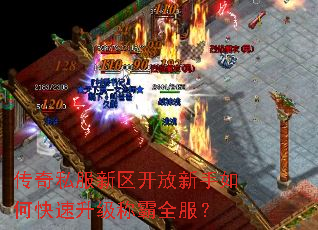 ����˽����������������ο��������ư�ȫ����