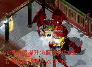 ��ο���������ʢ���ڹ��ϻ�����˽����ɫս������