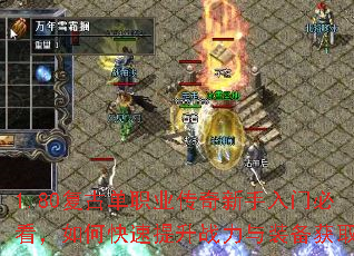 1.80���ŵ�ְҵ�����������űؿ�����ο�������ս����װ����ȡ��