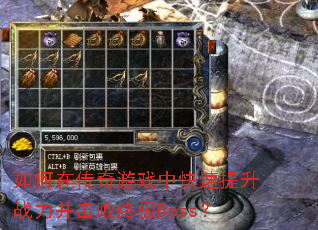 ����ڴ�����Ϸ�п�������ս���������ռ�Boss��