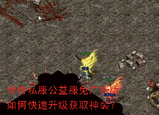 ����˽��������������ο���������ȡ��װ��