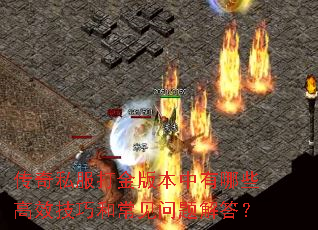 ����˽�����汾������Щ��Ч���ɺͳ���������