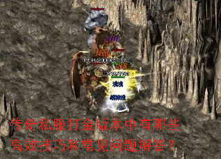 ����˽�����汾������Щ��Ч���ɺͳ���������