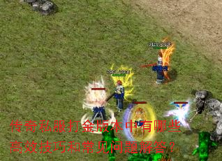 ����˽�����汾������Щ��Ч���ɺͳ���������