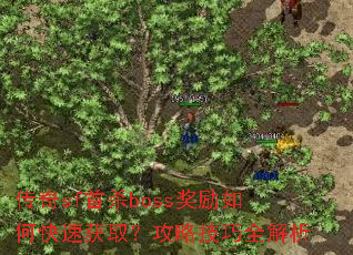 ����sf��ɱboss������ο��ٻ�ȡ�����Լ���ȫ����