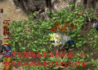 ���ѡ���ʺ�ְҵ��װ������Ѫ����˽��װ�����似�����