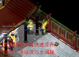 灵宠培养如何快速提升战力?顶级技巧大揭秘 灵宠培养如何快速提升战力?顶级技巧大揭秘