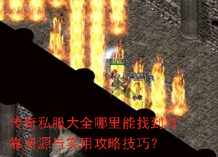 ����˽����ȫ�������ҵ��ɿ���Դ��ʵ�ù��Լ��ɣ�