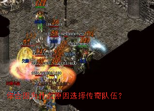 �����Ϊʲôԭ��ѡ������飿