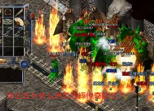 �����Ϊʲôԭ��ѡ������飿