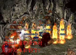 ����˽��ְҵѡ�ԣ���Ϸ���鷭����