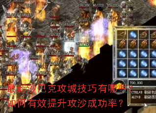 ����ɳ�Ϳ˹��Ǽ�������Щ�������Ч������ɳ�ɹ��ʣ�