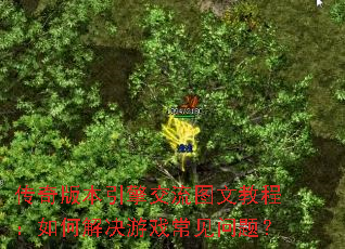 ����汾���潻��ͼ�Ľ̳̣���ν����Ϸ�������⣿